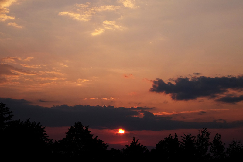DSCF1160
