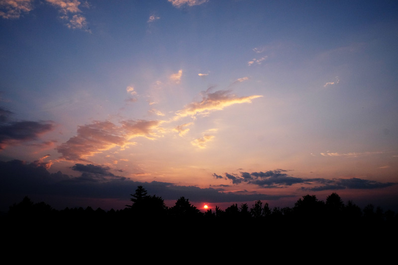 DSCF1178