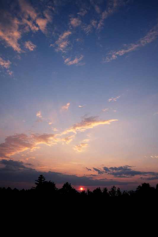 DSCF1180