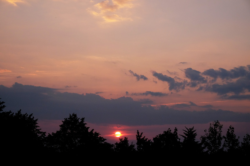 DSCF1181