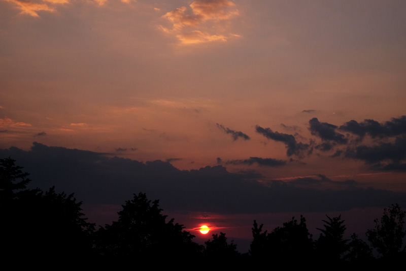 DSCF1182