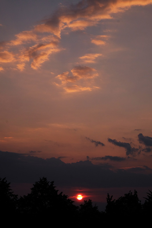 DSCF1183