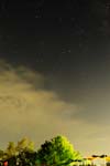 DSCF1299