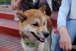 DSCF0924