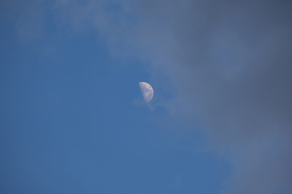DSCF0135