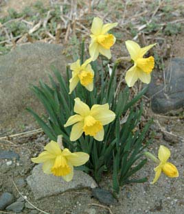 023