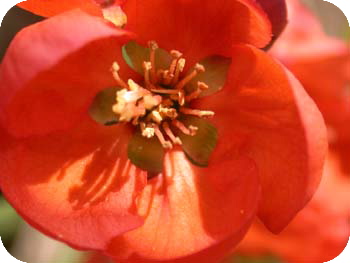 0408