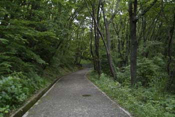 DSCF0012_1