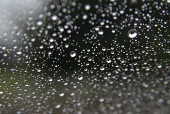 DSCF0021_1