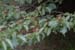 DSCF0007_1