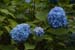 DSCF0008_1