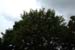 DSCF0019_1