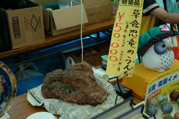 DSCF0507