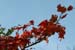 DSCF0012