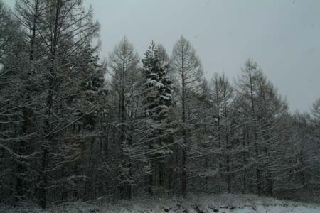 DSCF0019