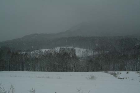 DSCF0020