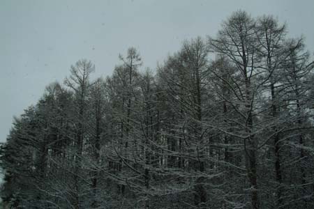 DSCF0021