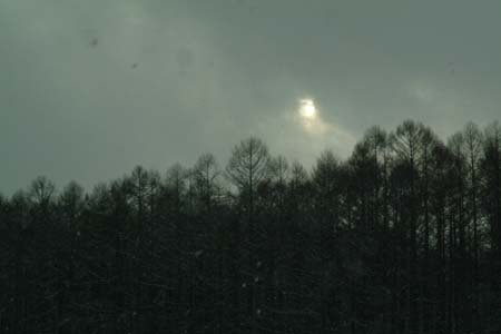 DSCF0028