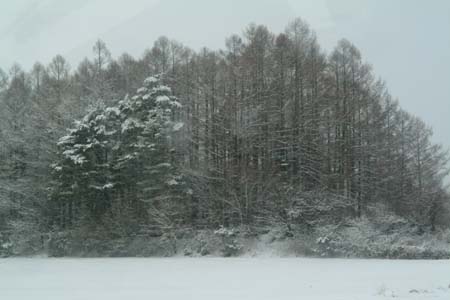DSCF0029