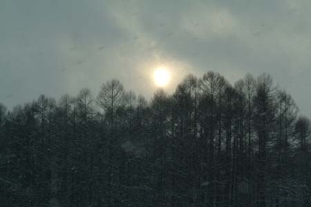 DSCF0035
