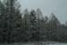 DSCF0019
