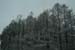 DSCF0021