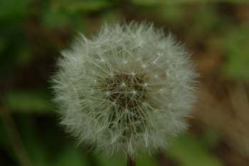 DSCF0077