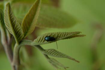 DSCF0146