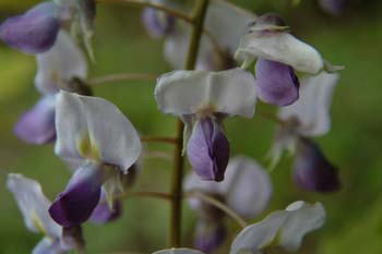 DSCF0167