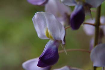 DSCF0168