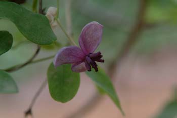 DSCF0184