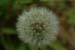 DSCF0077