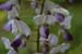 DSCF0167