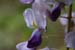 DSCF0168