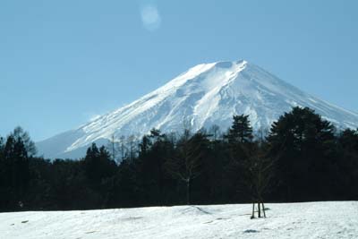 DSCF0019