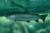 DSCF0040