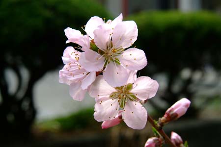 DSCF0001