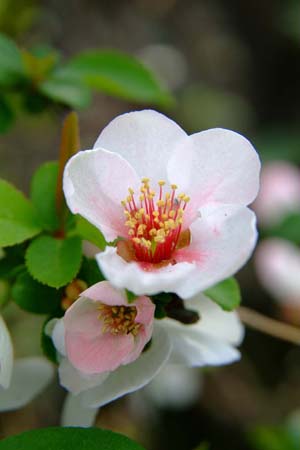 DSCF0008