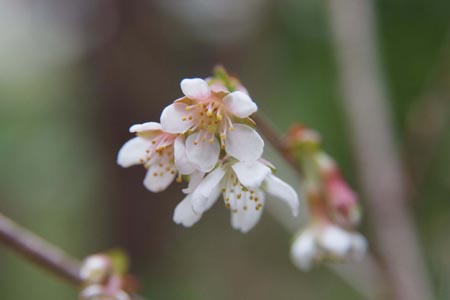 DSCF0002