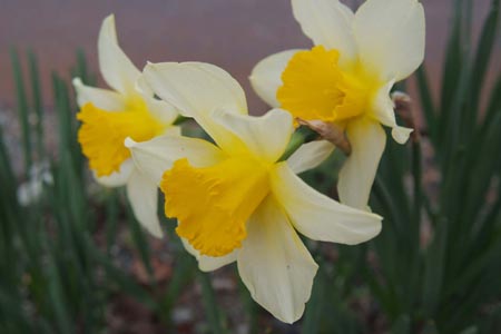 DSCF0010
