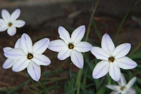 DSCF0069