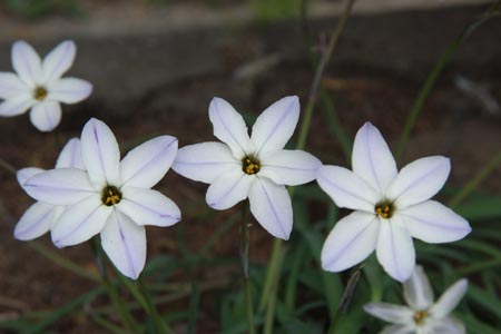 DSCF0071