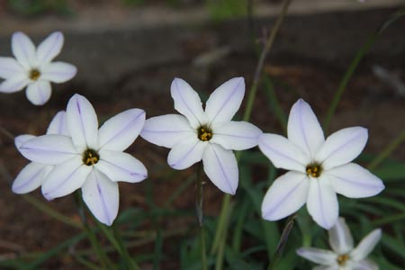 DSCF0072