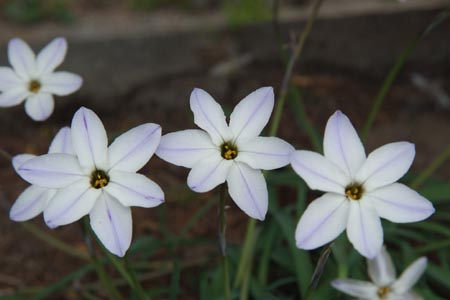 DSCF0073