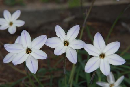 DSCF0074