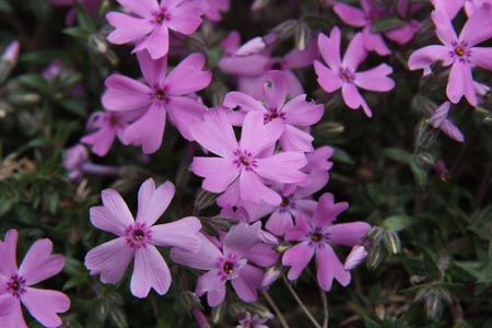 DSCF0063