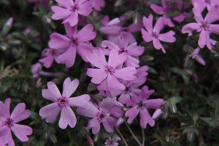 DSCF0064