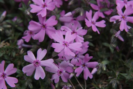 DSCF0065