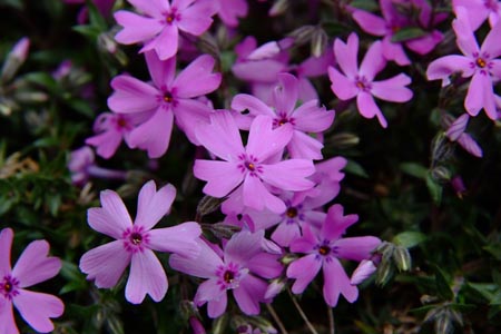 DSCF0068