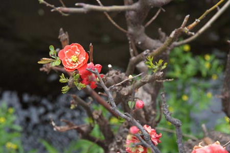 DSCF0076